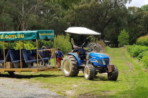 Day Tour Of Yarra Valley Puffing Billy And Rayners Orchard - Accommodation Mount Tamborine 25