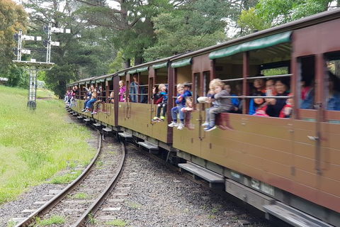 Day Tour Of Yarra Valley Puffing Billy And Rayners Orchard - Accommodation Mount Tamborine 24