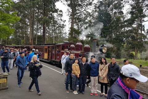Day Tour Of Yarra Valley Puffing Billy And Rayners Orchard - Accommodation Mount Tamborine 9