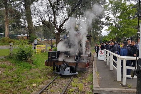 Day Tour Of Yarra Valley Puffing Billy And Rayners Orchard - Accommodation Mount Tamborine 43