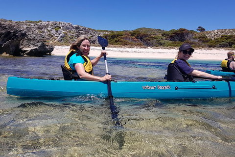 Rottnest Glass Bottom Kayaking Tour - Accommodation Mount Tamborine 2