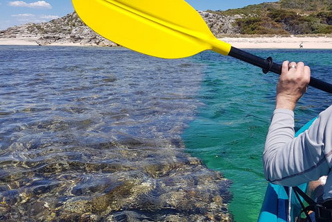 Rottnest Glass Bottom Kayaking Tour - Accommodation Mount Tamborine 3