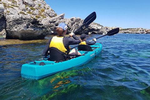 Rottnest Glass Bottom Kayaking Tour - Accommodation Mount Tamborine 4
