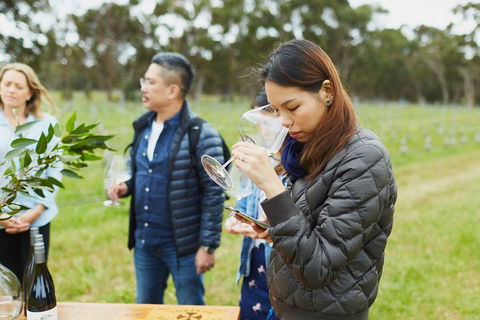 Organic Vineyard/Farm Tour - Accommodation Mount Tamborine 1
