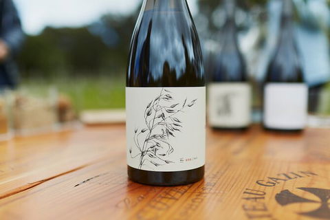 Organic Vineyard/Farm Tour - Accommodation Mount Tamborine 8