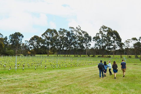 Organic Vineyard/Farm Tour - Accommodation Mount Tamborine 7