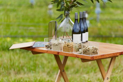 Organic Vineyard/Farm Tour - Accommodation Mount Tamborine 3