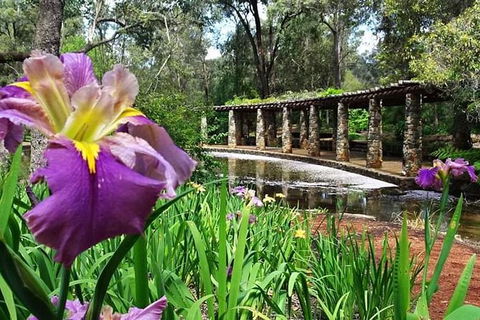 Perth Hills Explorer (Private) Day Tour - Accommodation Mount Tamborine 35