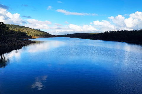 Perth Hills Explorer (Private) Day Tour - Accommodation Mount Tamborine 9