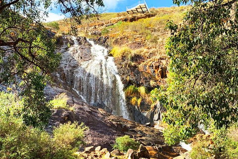 Perth Hills Explorer (Private) Day Tour - Accommodation Mount Tamborine 4