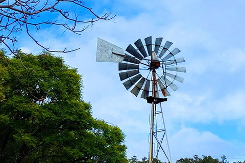 Perth Hills Explorer (Private) Day Tour - Accommodation Mount Tamborine 27