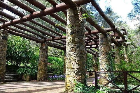 Perth Hills Explorer (Private) Day Tour - Accommodation Mount Tamborine 34