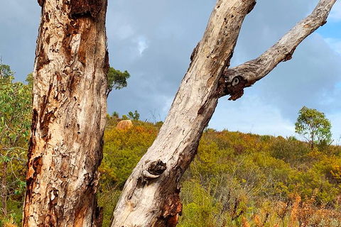 Perth Hills Explorer (Private) Day Tour - Accommodation Mount Tamborine 36