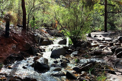 Perth Hills Explorer (Private) Day Tour - Accommodation Mount Tamborine 13