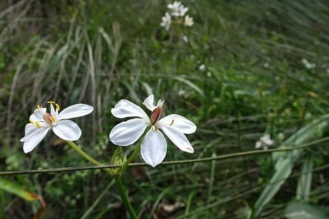 Perth Hills Explorer (Private) Day Tour - Accommodation Mount Tamborine 30