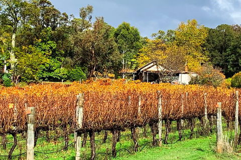 Perth Hills Explorer (Private) Day Tour - Accommodation Mount Tamborine 32
