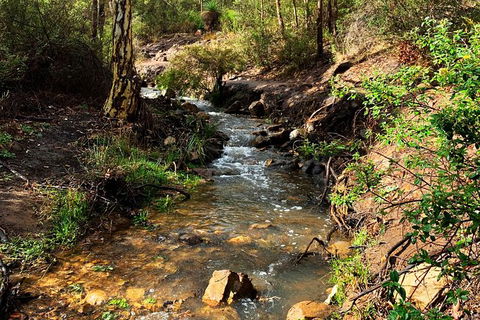 Perth Hills Explorer (Private) Day Tour - Accommodation Mount Tamborine 26