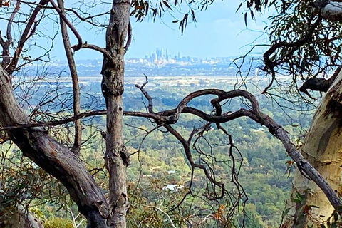 Perth Hills Explorer (Private) Day Tour - Accommodation Mount Tamborine 7