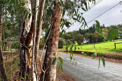 Perth Hills Explorer (Private) Day Tour - Accommodation Mount Tamborine 28