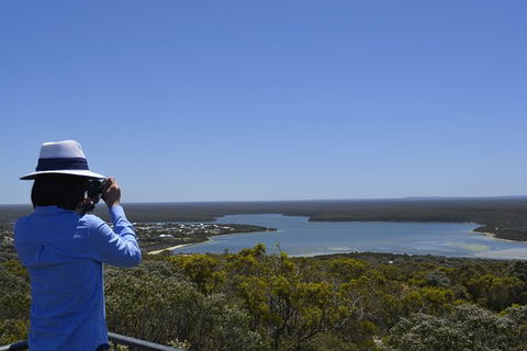 Full-Day Killer Whale Expedition From Albany - Accommodation Mount Tamborine 5