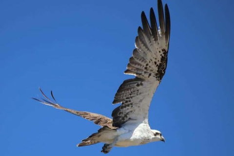 Romance Aircraft Flight + Scenic Tour + 3 Course Lunch + Beer Tasting + Hamper - Accommodation Mount Tamborine 4