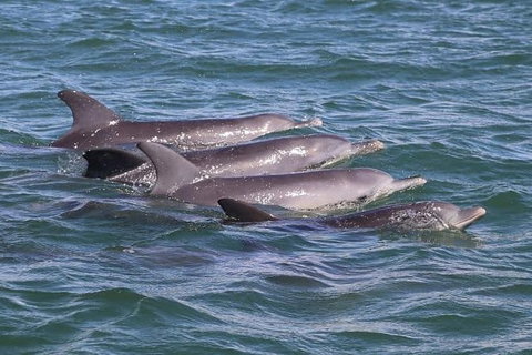 Romance Cruise + Scenic Tour + Beer Tasting + 3 Course Lunch + Hamper - Accommodation Mount Tamborine 7