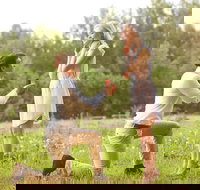 Romance Cruise  scenic Tour  beer tasting  3 course lunch  hamper - Accommodation Mount Tamborine