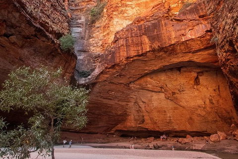 Bungles Day Trek Extended (with Echidna Chasm) - Accommodation Mount Tamborine 0