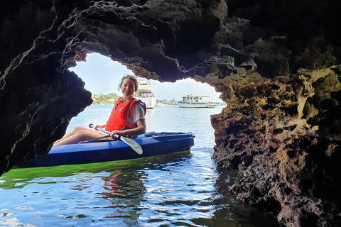 Cliffs And Caves Kayak Tour In Swan River - Accommodation Mount Tamborine 3