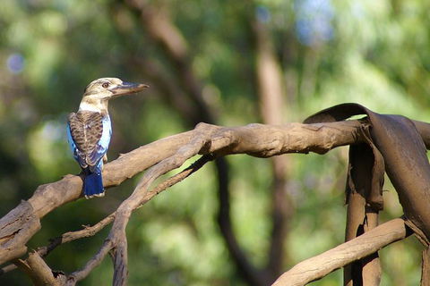 Ord River Experience With Riverside Lunch - Accommodation Mount Tamborine 1