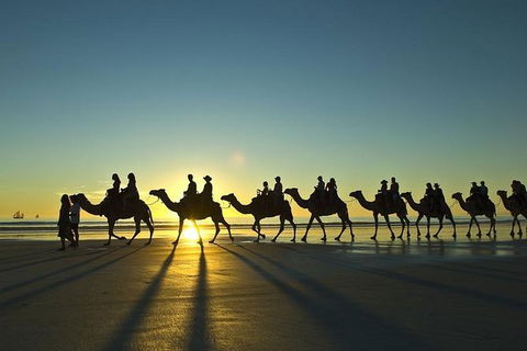 Broome All-Inclusive 7 Days Touring Package - Accommodation Mount Tamborine 6