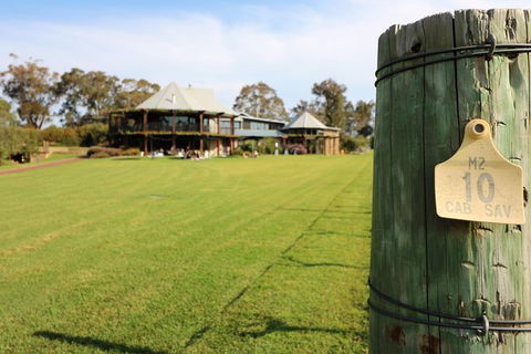 The Finest 4 Experience - Accommodation Mount Tamborine 5