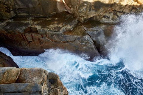 Discover Torndirrup National Park: The Gap & Natural Wonders Tour - Accommodation Mount Tamborine 4