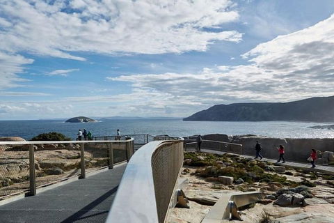 Discover Torndirrup National Park: The Gap & Natural Wonders Tour - Accommodation Mount Tamborine 5