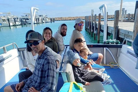 Whale Watching Boat Tour In Geraldton - Accommodation Mount Tamborine 1