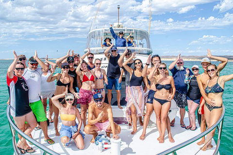 Full-Day Whale Sharks Swimming Experience On Ningaloo Reef - Accommodation Mount Tamborine 1