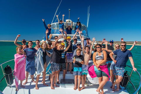 Full-Day Whale Sharks Swimming Experience On Ningaloo Reef - Accommodation Mount Tamborine 15