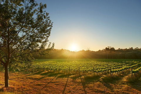 Private Barrel Hall Wine Tasting In The Margaret River Region - Accommodation Mount Tamborine 3