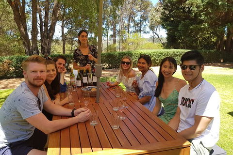 Full-Day Gourmet Wine Tour With Pick Up And Lunch - Accommodation Mount Tamborine 5