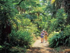 Sir Thomas Brisbane Planetarium - Accommodation Mount Tamborine 0