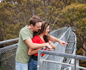  Accommodation Mount Tamborine