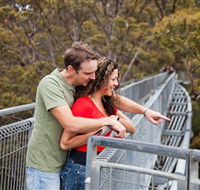 Valley of the Giants Tree Top Walk - Accommodation Mount Tamborine