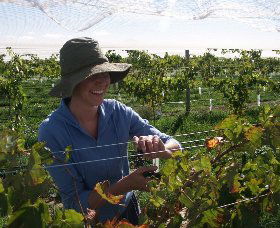 Kingsdale Wines - Accommodation Mount Tamborine 0