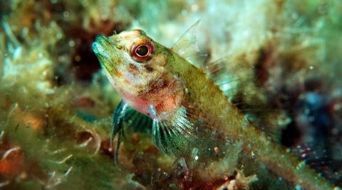 Busselton Jetty & Underwater Observatory Tour - Accommodation Mount Tamborine 7
