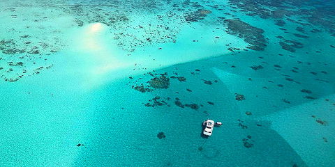 Ocean Free & Ocean Freedom - Cairns Premier Reef And Island Tours - Accommodation Mount Tamborine 3