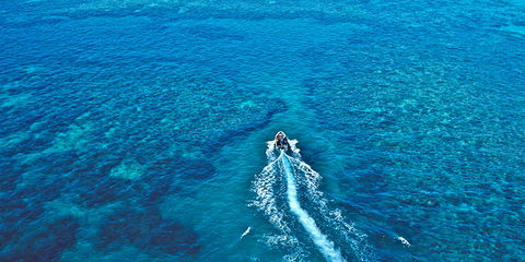 Ocean Free & Ocean Freedom - Cairns Premier Reef And Island Tours - Accommodation Mount Tamborine 4