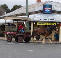 Bathurst Farm Experience - Accommodation Mount Tamborine