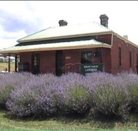 Lavender House in Railway Park - Accommodation Mount Tamborine