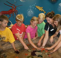Naturaliste Marine Discovery Centre - Accommodation Mount Tamborine