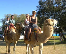Calamunnda Camel Farm - Accommodation Mount Tamborine 0